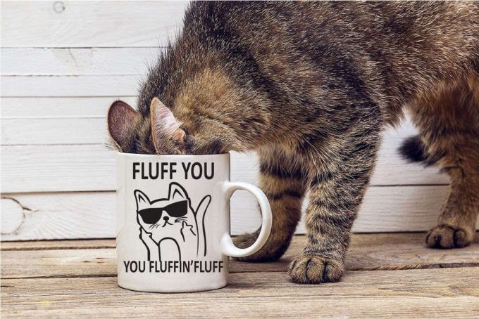 Crazy Cat Mugs 4