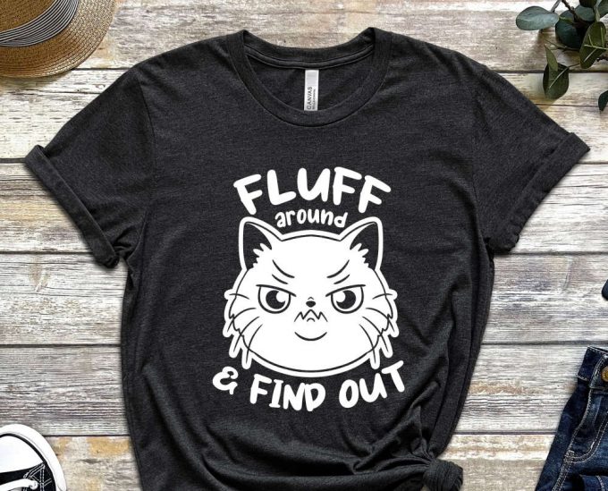 Fluff Around And Find Out Shirt, Fluff Shirt, Black Cat Shirt, Kitty Shirt, Paws Shirt, Funny Kitty Shirt, Funny Cat Shirt, Fluff You Shirt 2