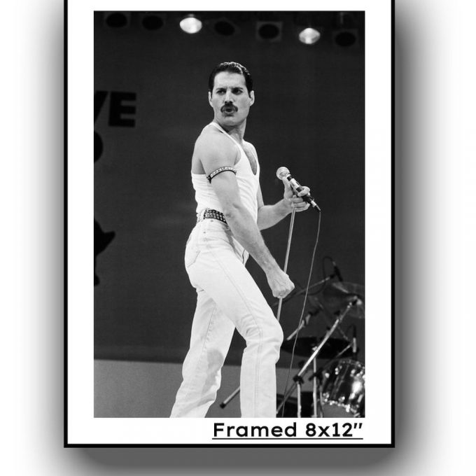 Freddie Mercury Vintage Poster For Home Decor Gift 4