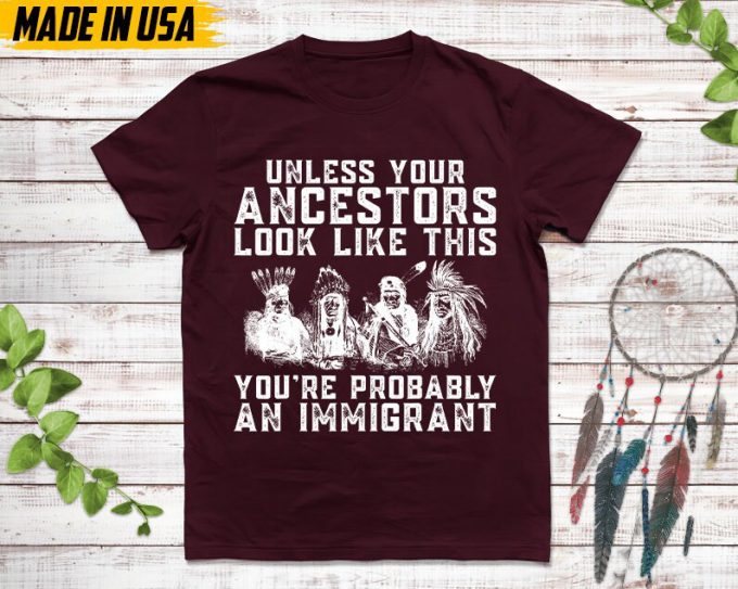 Native American Unisex T-Shirt, Native American Gift, Native American Pride Indigenous Shirt, Unless Your Ancestors Look Like This Shirt 4