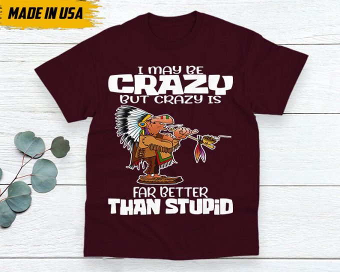 Native American Unisex T-Shirt, Native American Gift, Native American Shirt, I May Be Crazy But Crazy Is Far Better Than Stupid 7