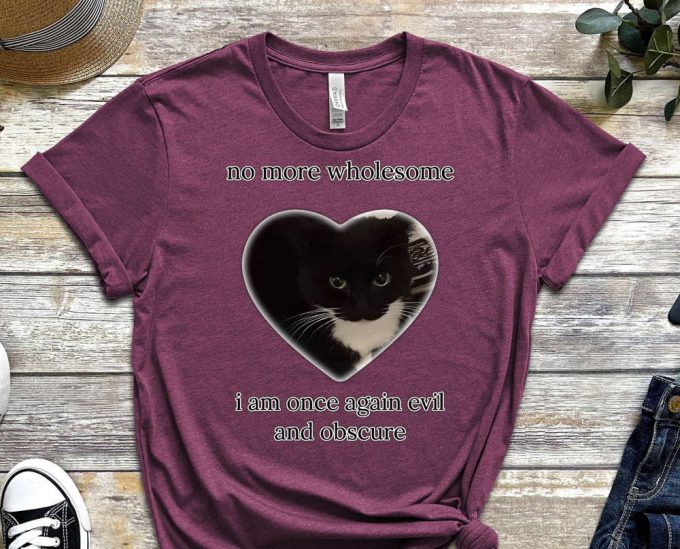 No More Wholesome, Once Evil And Obscure, Cool Cat Shirt, Cat Tee, Black Cat Tee, Funny Cat Shirt, Kitten Shirt, Cat Lover Shirt 2