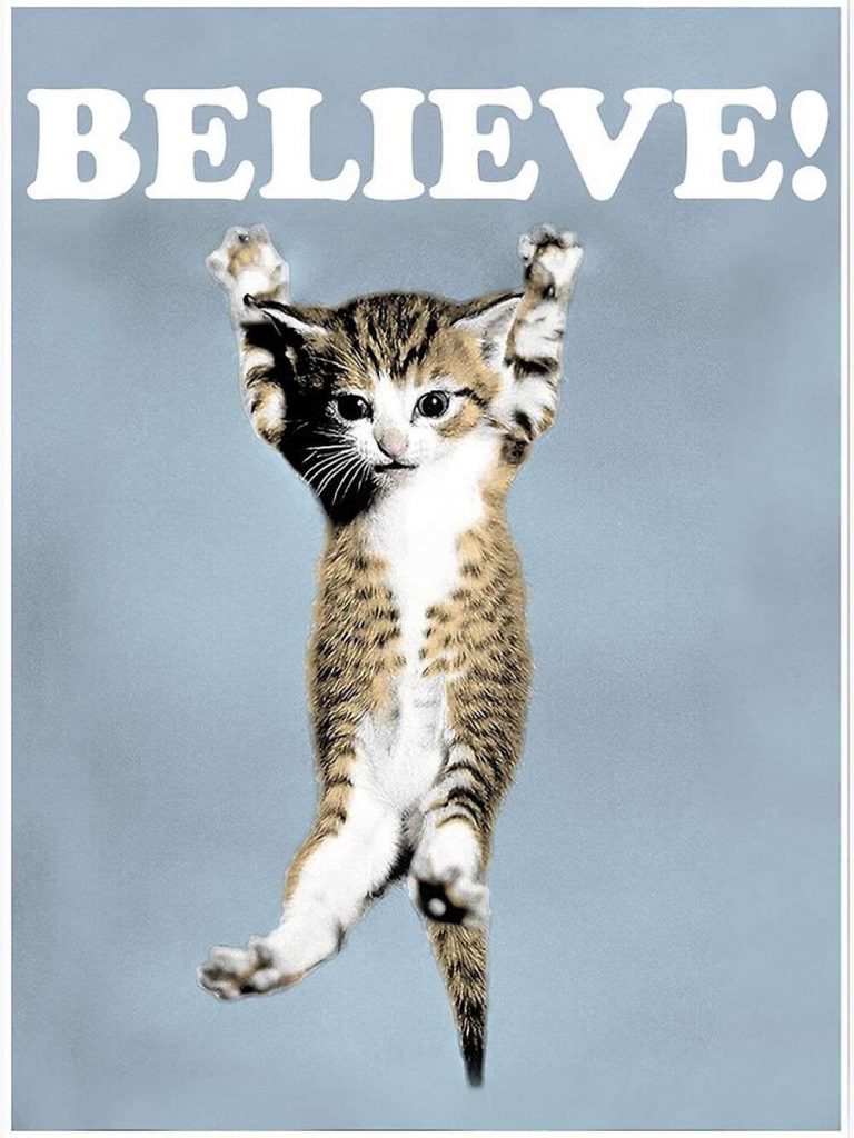 Believe Cat Poster For Home Decor Gift Premium Matte Vertical Poster For Home Decor Gift 5