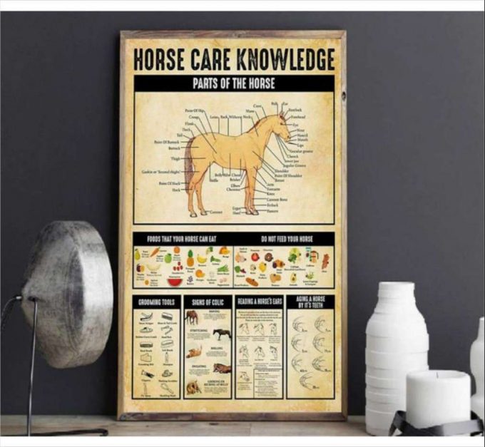 Horse Care Knowledge Poster For Home Decor Gift For Home Decor Gift 2