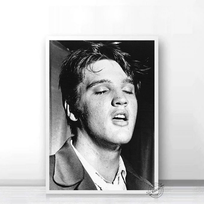 Elvis Presley Poster: Perfect Home Decor Gift For Fans 7