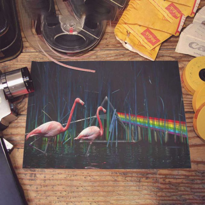 Pink Floyd Poster For Home Decor Gift For Home Decor Gift – Flamingo Dsotm 3