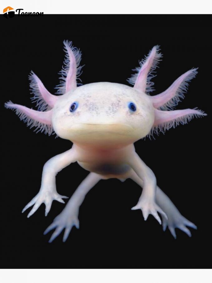 Axolotl Premium Matte Vertical Poster For Home Decor Gift 1