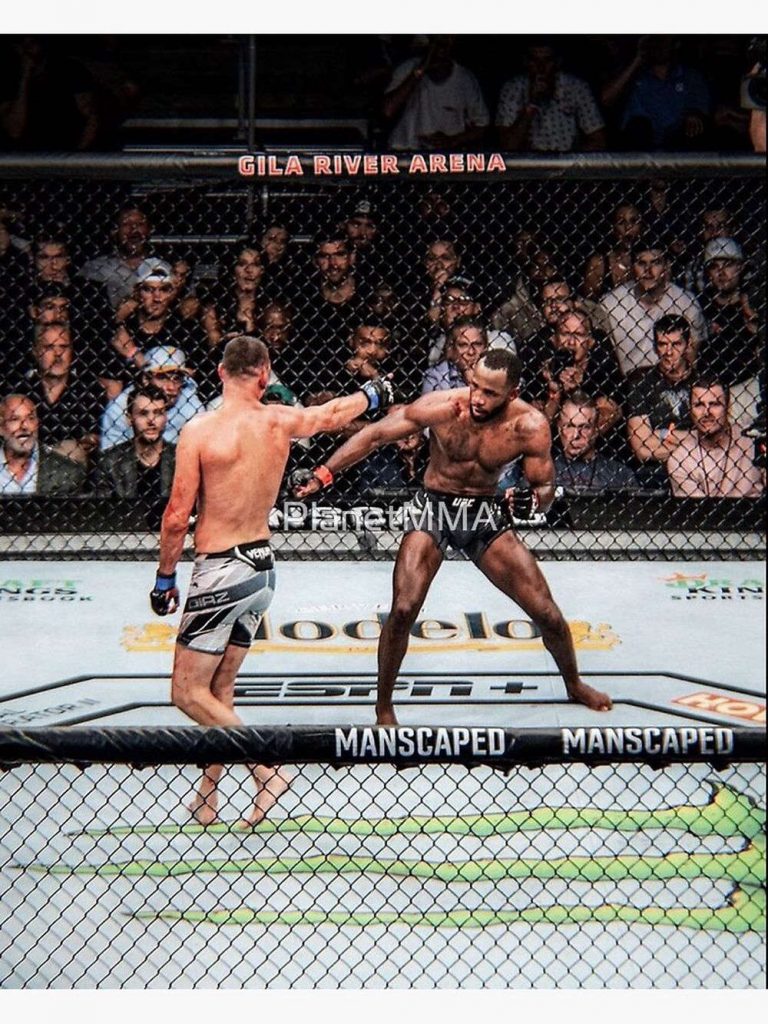 Nate Diaz Taunting A Rocked Leon Edwards Premium Matte Vertical Poster For Home Decor Gift 5