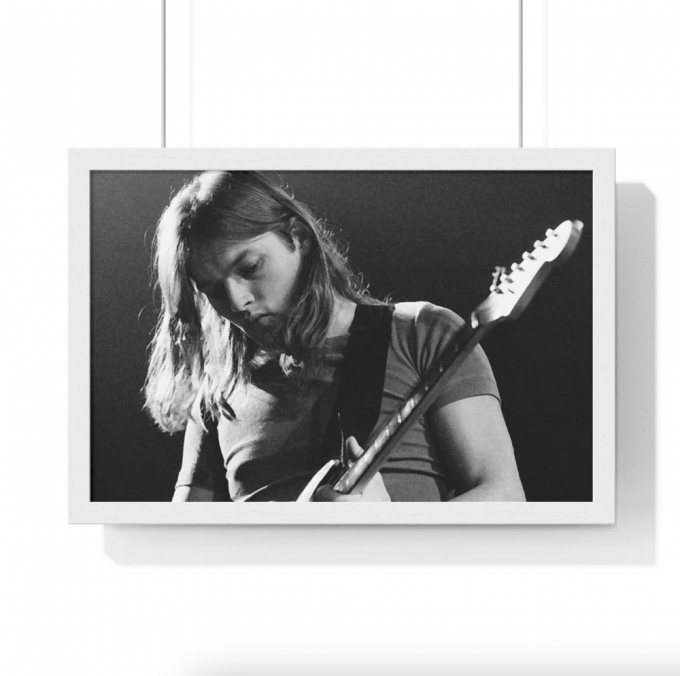 Pink Floyd Poster For Home Decor Gift – Rock Music Legends David Gilmour 3